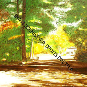 PEINTURE SUR TOILE LE-BALUCHON-CANADA - 46x61cm