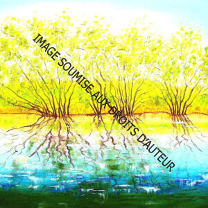 PEINTURE SUR TOILE REFLETS-DANS-L'EAU - 61x46cm